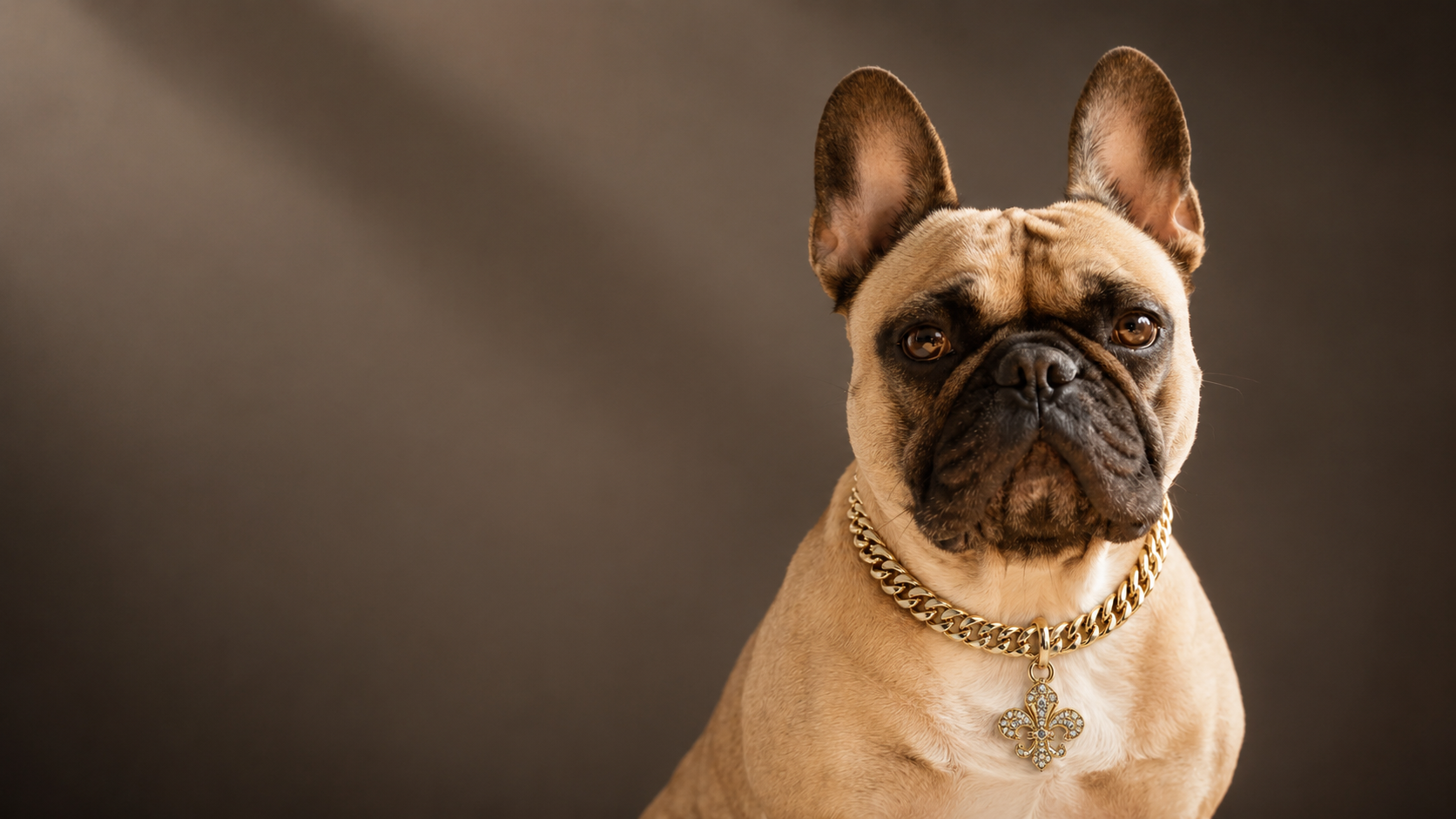 The Fleur — For the dog who was always royalty.