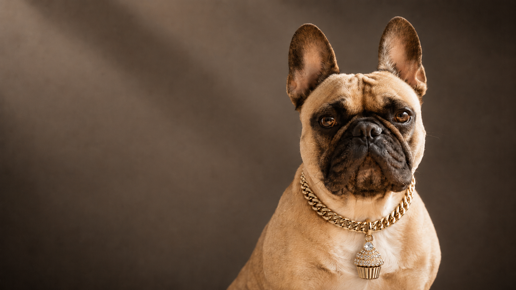 A French Bulldog wearing a CHŌKA gold Cuban link collar with a jeweled charm